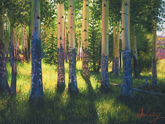 pastel painting of aspen trees by john hulsey