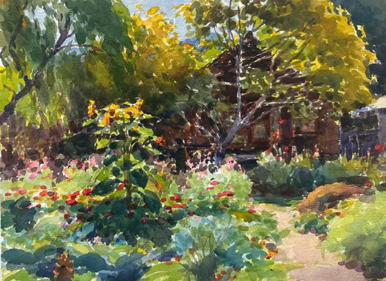 Humboldt del Sur, 11 x 14"Acuarela, © Jim McVicker