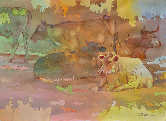 watercolor of cows, by Judi Betts