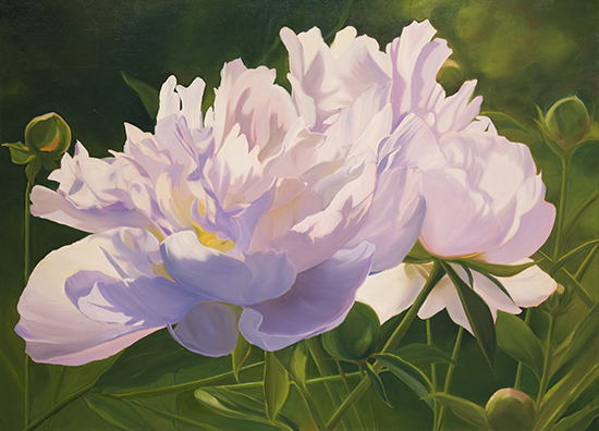 Oil Painting of Peonies by Ann Trusty