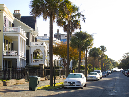 Photo of houses along the Battery, Charleston, S.C.