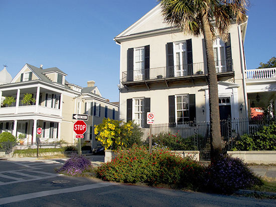 Photo of flowers along Battery Row, Charleston, S.C., by John Hulsey