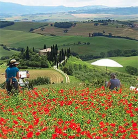 Photograph of Artist Cindy Wheeler Painting in Tuscany