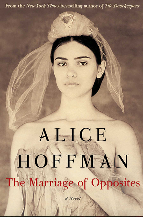 The Marriage of Opposites by Alice Hoffman