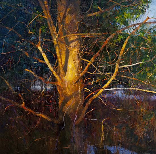 oil painting of pine tree at sunset, by Peter Fiore