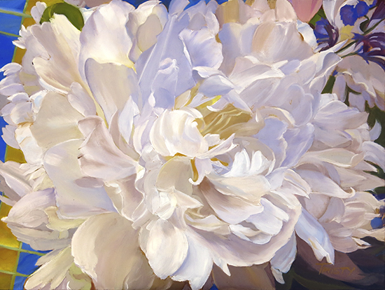 Peony Close Up, 12 x 16", Oil Painting © Ann Trusty