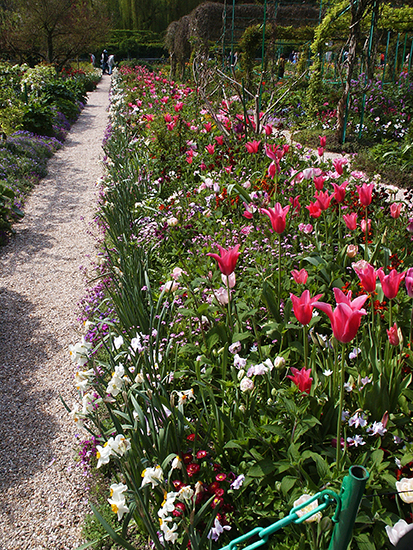 Walkway in Monet's Gardens