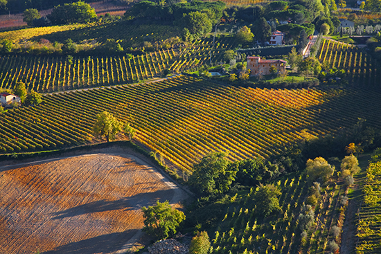 aerial photo from Montepulciano, Italy.© J. Hulsey watercolor painting workshops.