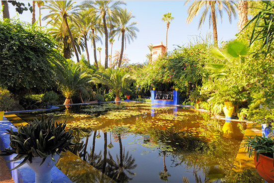 Jardin des Majorelle, Photo by Viault - Wikipedia