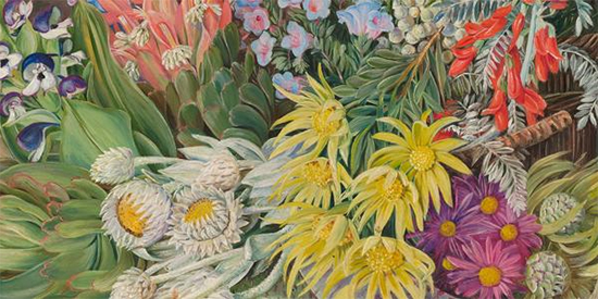 A Medley of Flowers from Table Mountain Cape of Good Hope Marianne North detail