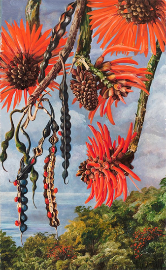 Coral Tree, 1880, Marianne North