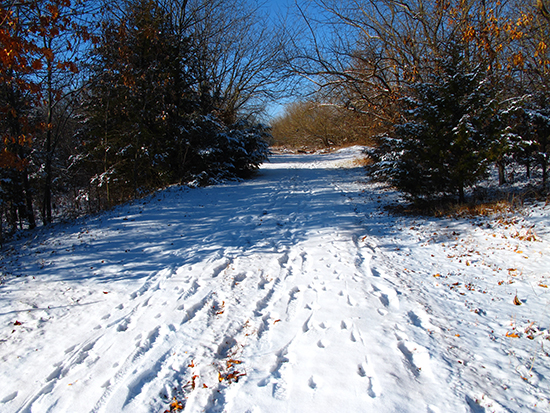 photo of country road in winter by John Hulsey