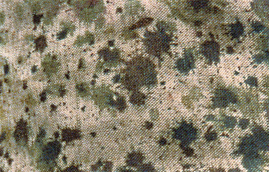 Hand painted French camouflage fabric, Eugene Corbin, 1914