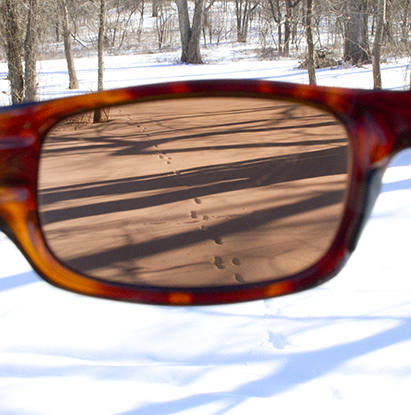 Snow Scene as Seen Through Tinted Sunglasses