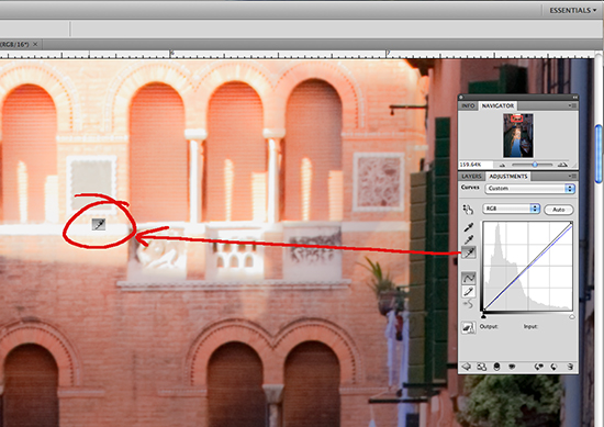 screen shot of photoshop editor window