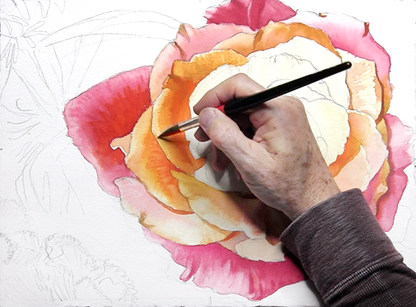 Rose Delight Watercolor Demonstration by John Hulsey