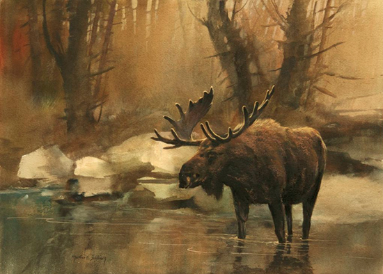 Late Afternoon Moose © Mort Solberg