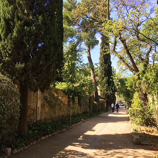 photo of St. Paul de Mausole grounds.© J. Hulsey