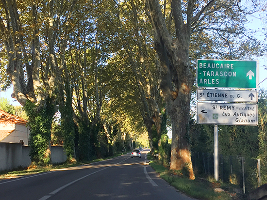 photo of the road to St. Rémy. © J. hulsey