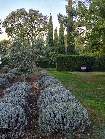 Photo of the Garden at Mas des Carassins.© J. Hulsey