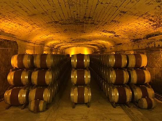 Photo of wine barrels at Mont Redon winery. © A. Trusty