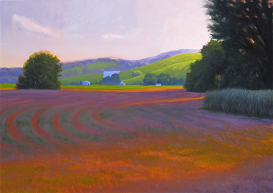 Summer Brome, Step Five, © John Hulsey