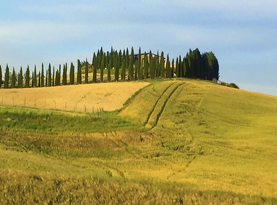 Agriturismo Bonello