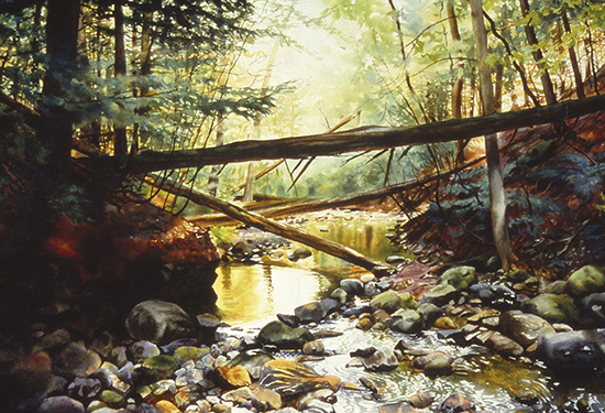watercolor of trees fallen across a stream by John Hulsey