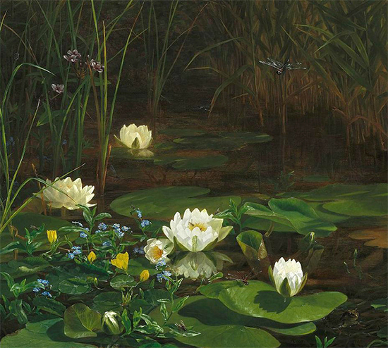 The Allure Of Painting Water Lilies The Artist S Road