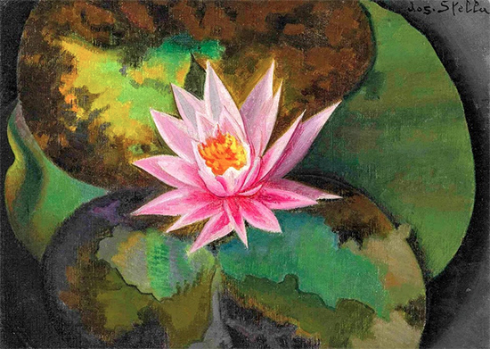 Pink Water Lily, 1920, Joseph Stella