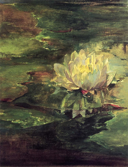 Water Lily Among Pads, 1879, John La Farge