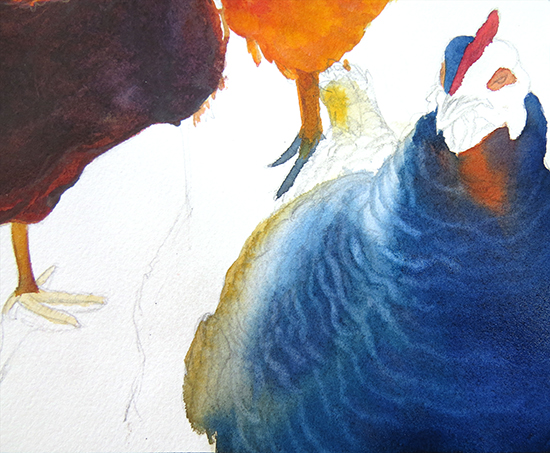 watercolor painting of chickens by John Hulsey