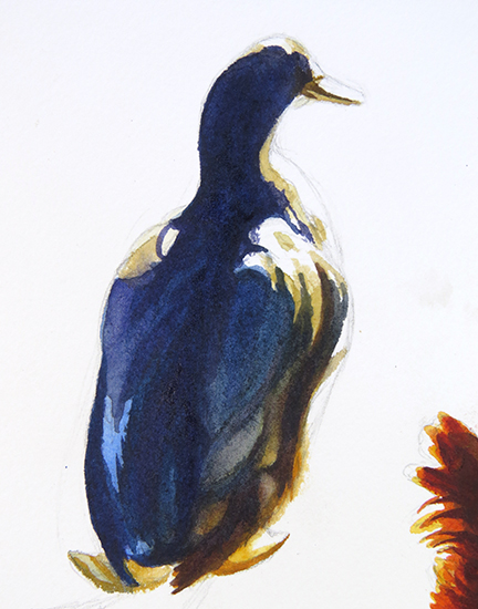watercolor painting of duck by John Hulsey