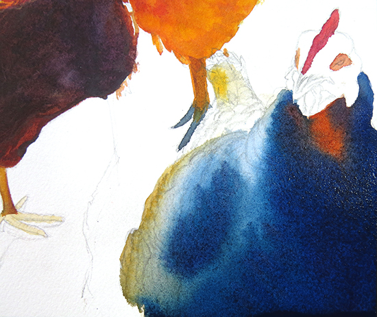 watercolor painting of chickens by John Hulsey